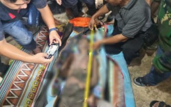 Korban Tewas Tertimbun Longsor di lokasi tambang Bone Bolango