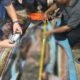 Tragedi di Lubang PETI Bone Bolango, Satu Penambang Tewas Tertimbun Longsor