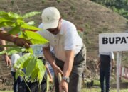 Penanaman Bambu Petung Oleh Bupati Boalemo, Rum Pagau. (Sumber Foto: Mitro Nanto)