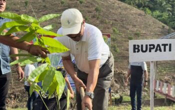 Penanaman Bambu Petung Oleh Bupati Boalemo, Rum Pagau. (Sumber Foto: Mitro Nanto)