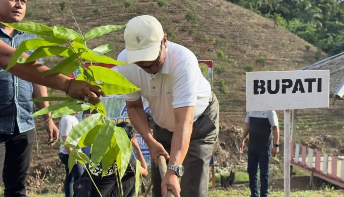 Investasi Hijau Boalemo: Bambu Petung Jadi Mesin Baru Ekonomi Rakyat