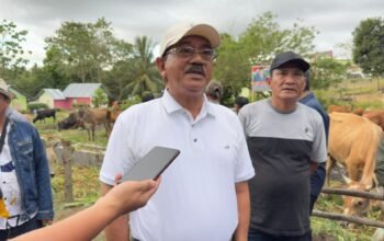 Angin Segar dari Pusat, Kementan Bikin Mimpi Boalemo Jadi Sentra Sapi Unggul Makin Nyata
