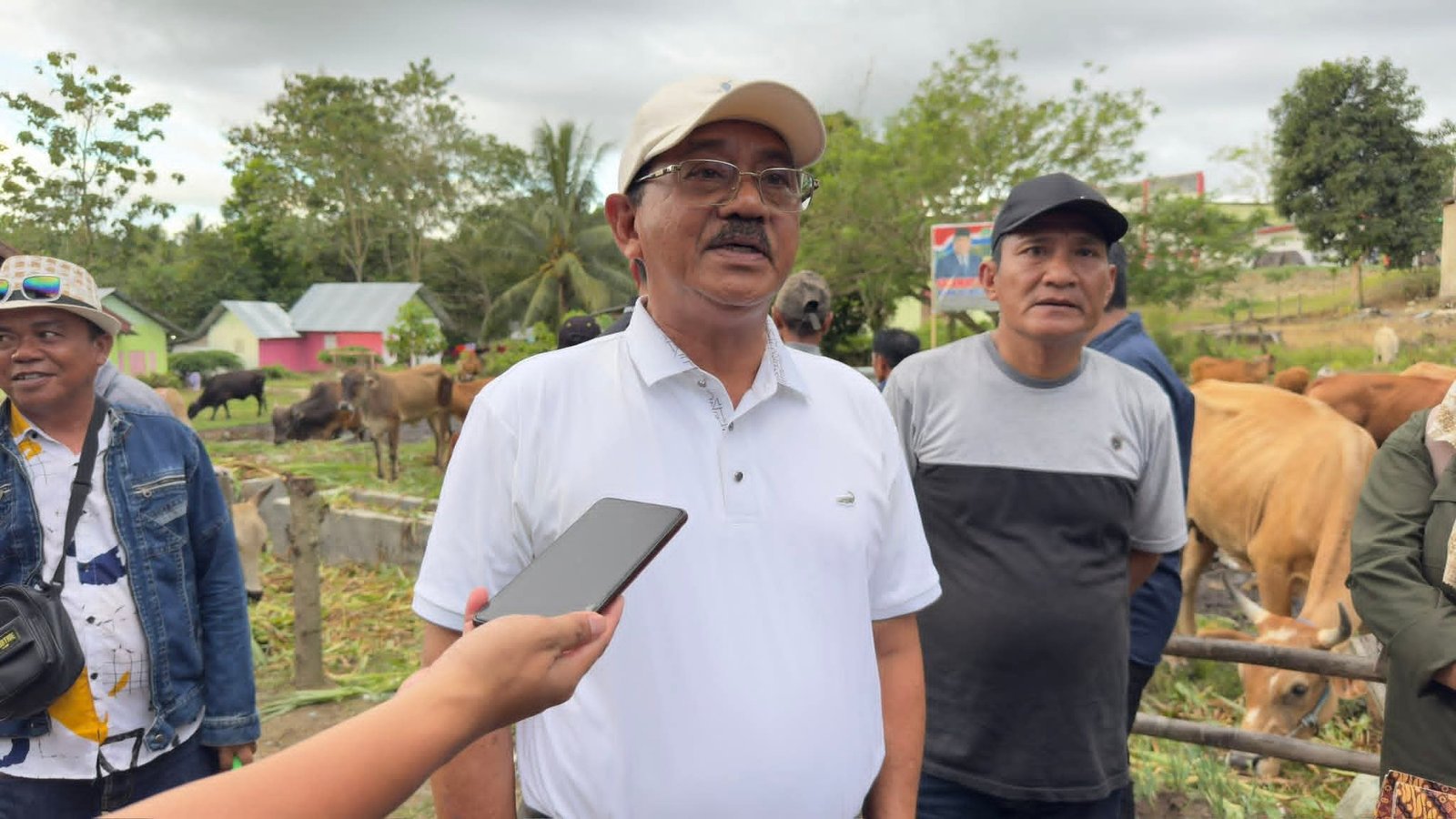 Bupati Boalemo, Rum Pagau didampingi Kadis Pertanian dan Ketahanan Pangan, Andi Faisal Hurudji saat panen raya anak sapi hasil program inseminasi buatan. (Sumber Foto: Mitro Nanto)