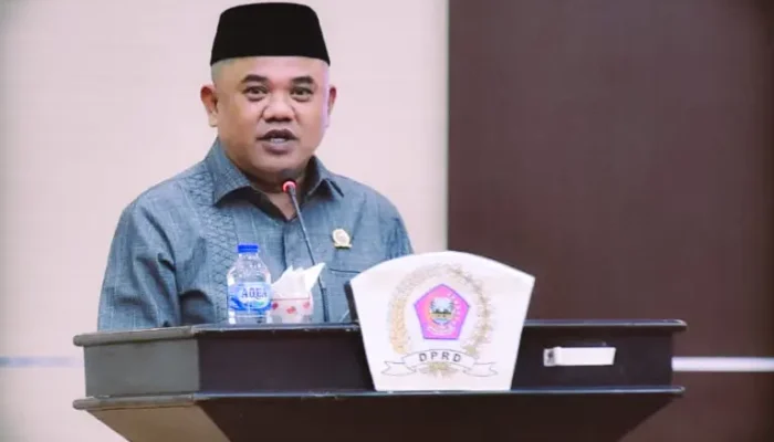 Namanya Dicatut Pelaku PETI, NG : Saya Merasa Keberatan