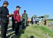 Bupati Pohuwato, Saipul A. Mbuinga (Kemeja merah) didampingi Kadis Pertanian, bersama Anggota TNI, Pemerintah Kecamatan, Penyuluh Pertanian Hadiri Tanam Serempak (Gertam) Padi dengan metode Pertanian Modern Advanced Agricurtural System atau PM-AAS, Kamis, 30 Juli 2026, di Persawahan Buntulia Utara, Kecamatan Buntulia.