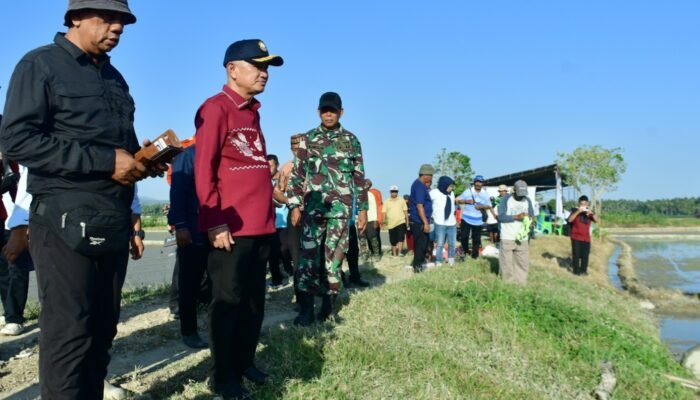 Krisis Air Landa Ribuan Hektare Sawah, Saipul Mbuinga Perjuangkan Program JIAT Miliaran Rupiah