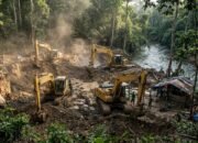 Penertiban Dinilai Mandul, 4 Alat Berat Baru Diduga Kembali Bobol PETI Tangga Barito