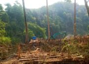 PETI di Pasir Putih Gorontalo Kembali Beroperasi, Kapolda Diminta Bertindak