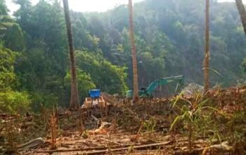 Alat Berat Ekskavator Kembali Beroperasi di Kawasan Pasir Putih, Kecamatan Mootilango, Gorontalo