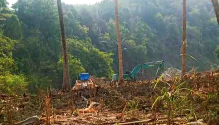 PETI di Pasir Putih Gorontalo Kembali Beroperasi, Kapolda Diminta Bertindak
