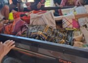 Penambang Pohuwato yang Alami Kecelakaan Dilarikan ke Rumah Sakit dengan Menggunakan Mobil Bak Terbuka