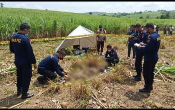 Heboh! Warga Boalemo Temukan Rangka Manusia di Lahan Tebu