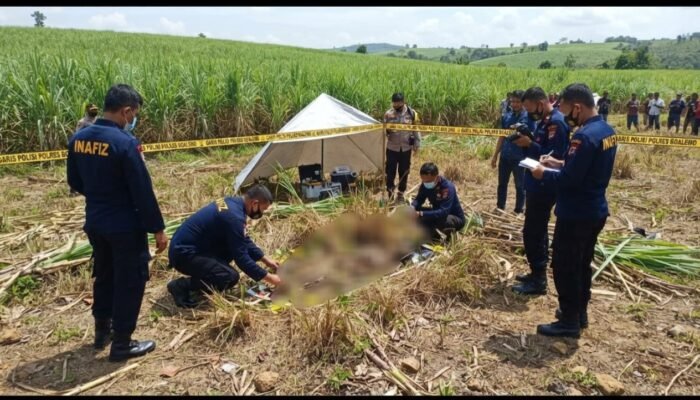Heboh! Warga Boalemo Temukan Rangka Manusia di Lahan Tebu