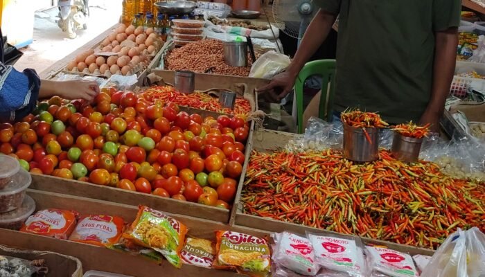 Kemarau Panjang Picu Lonjakan Harga, Rica Rp150 Ribu per Kilogram, Tomat Malah Turun