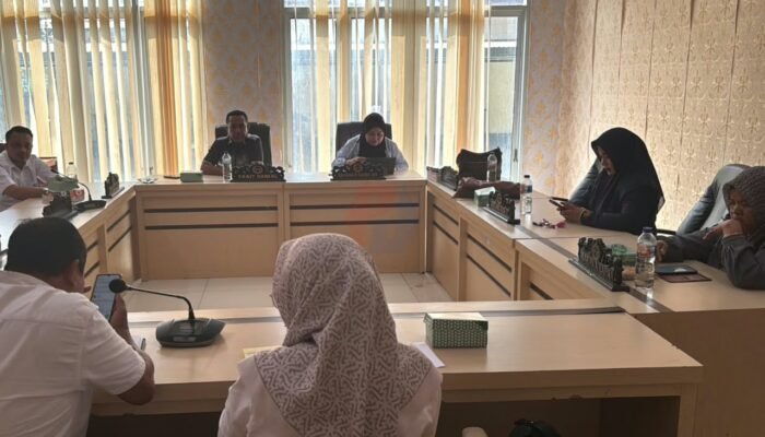 Gelar RDP, Komisi II DPRD Boalemo Evaluasi Program UMKM