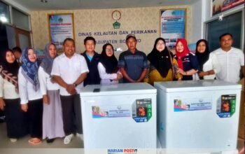 Anggota DPRD Kabupaten Boalemo, Silfana Saidi Serahkan Bantuan Freezer untuk Pengusaha Ikan Boalemo.(Foto Istimewa)