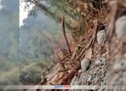 Tambang Ilegal di Boalemo Meresahkan, Warga Minta Ketegasan Kapolda Gorontalo